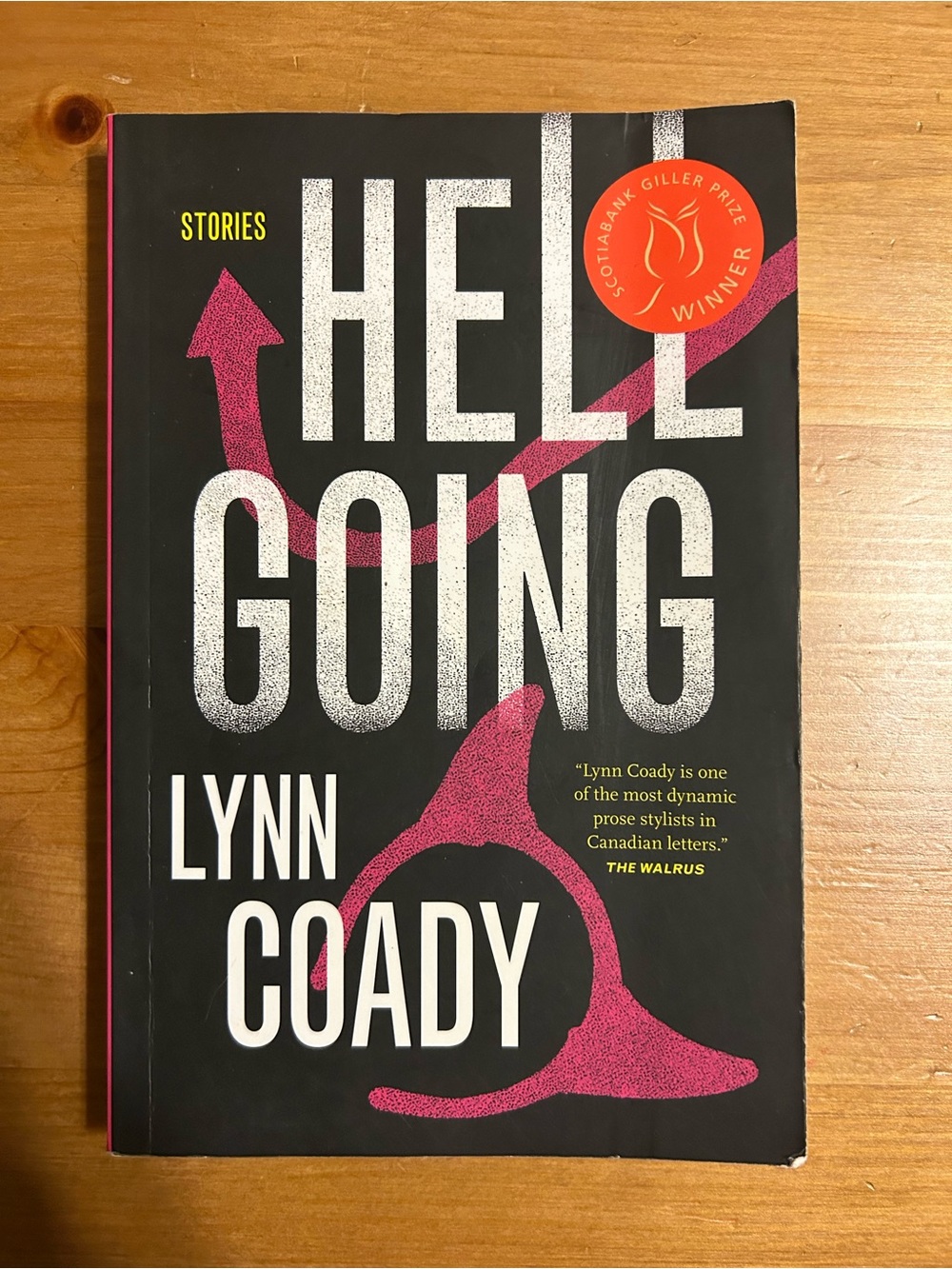 Black and Pink Paperback Novel — Lynn Coady